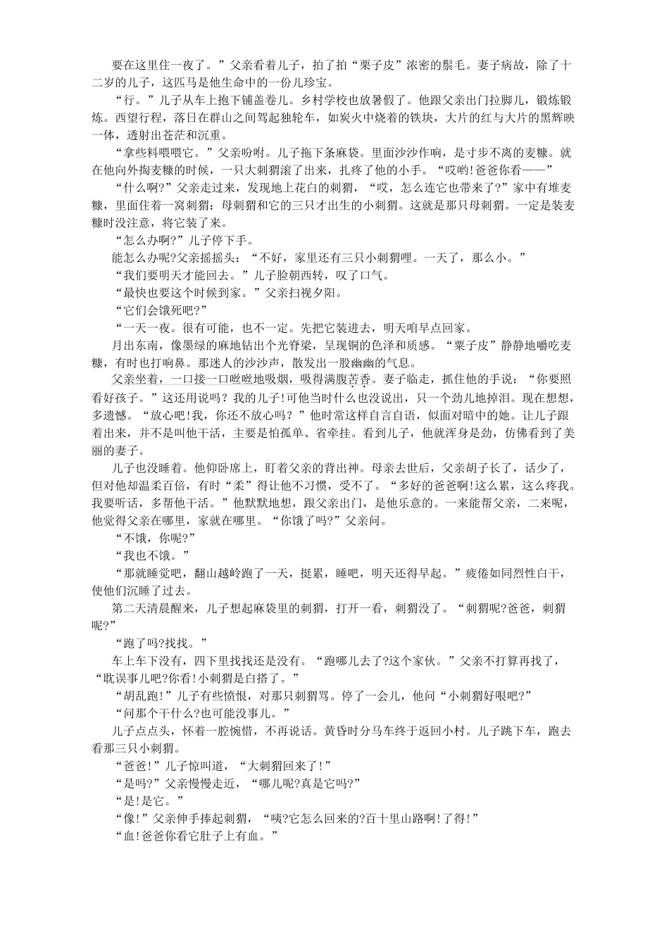 中考语文模拟试卷 中考语文模拟考试试卷一[整理八套]人教版_第2页