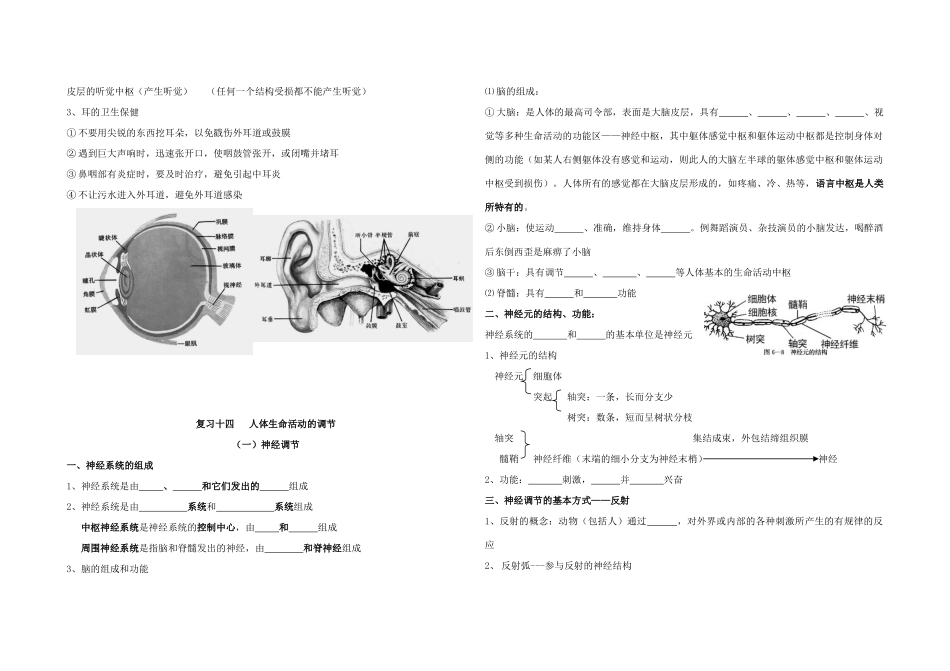 中考生物 复习十三 人体对外界环境的感知试卷_第2页