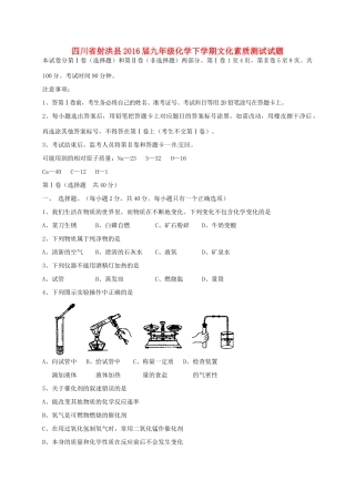 九年级化学下学期文化素质测试试卷试卷