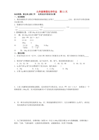 九年级化学上学期寒假作业 第11天 鲁教版试卷