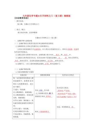 九年级化学专题8 打开材料之门(复习课)湘教版知识精讲试卷