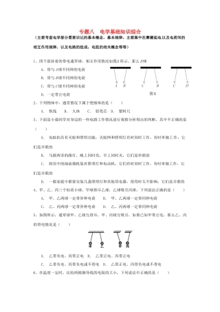 中考物理专题复习 专题八 电学基础知识综合试卷