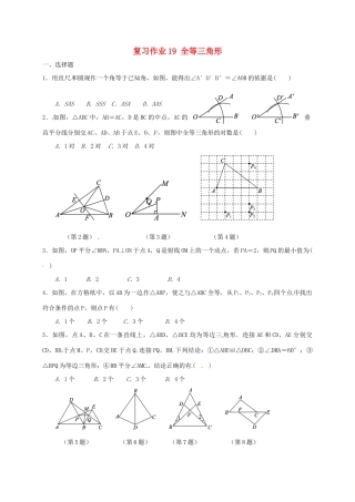 九年级数学下学期复习作业19 全等三角形试卷