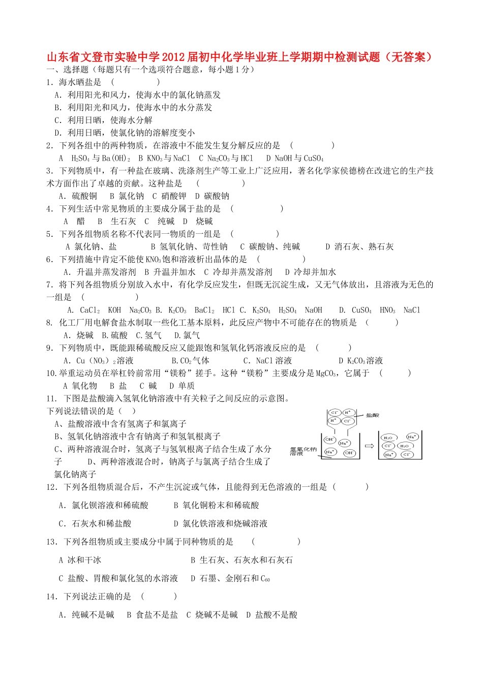 初中化学毕业班上学期期中检测试题(无答案) 试题_第1页