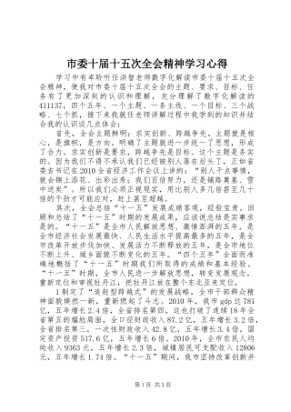 市委十届十五次全会精神学习体会