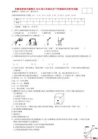 九年级化学下学期第四次联考试卷 新人教版试卷