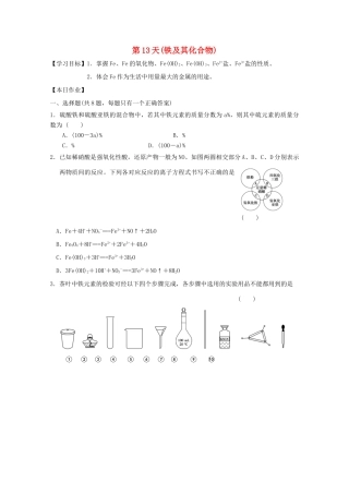 高一化学寒假作业 第13天（铁及其化合物）-人教版高一全册化学试题