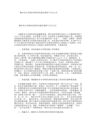 非公有制经济组织党建实现两个百分之百总结