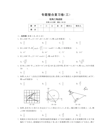 九年级数学下学期专题整合复习卷(三)(pdf) 新人教版试卷