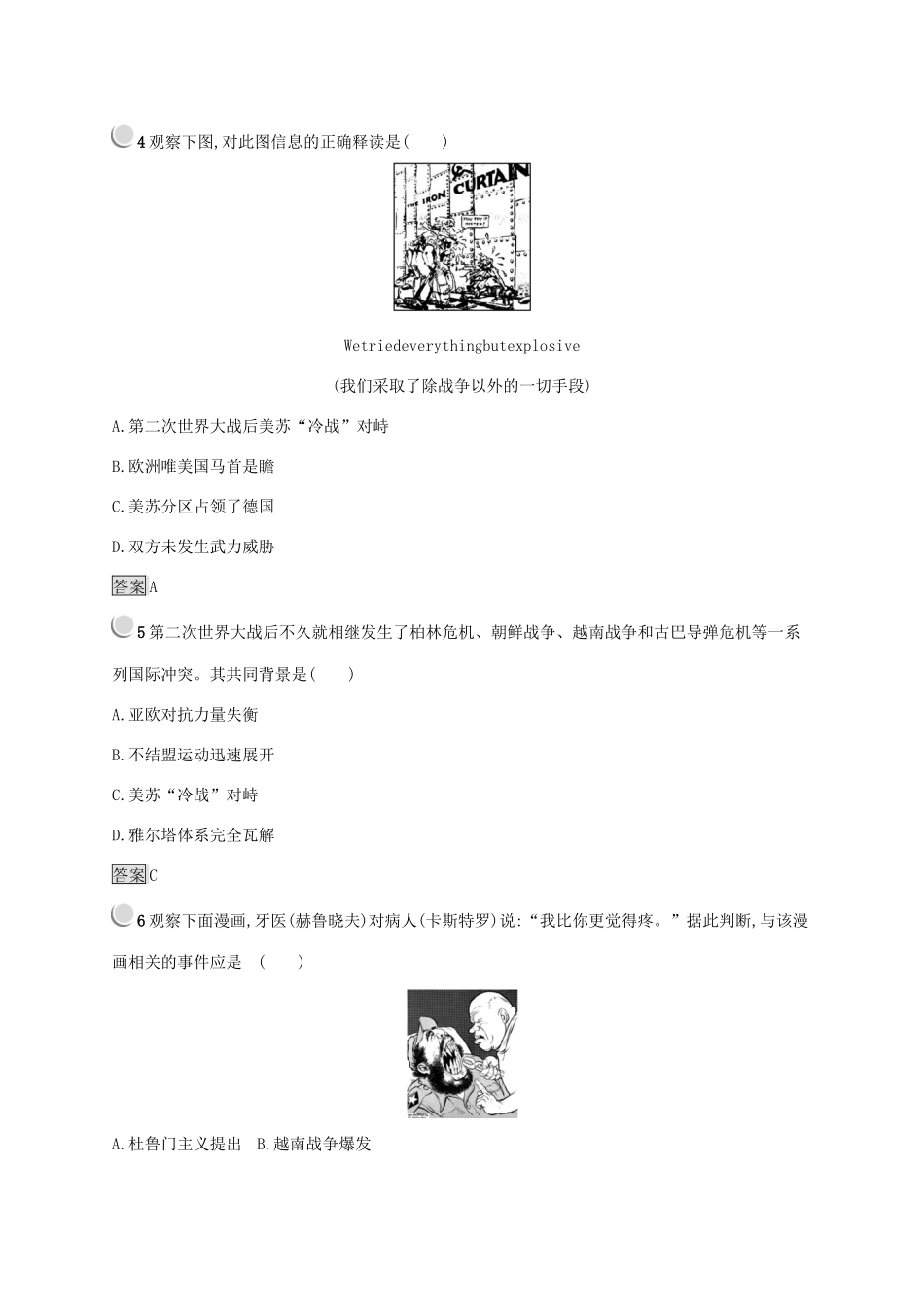 高中历史 第八单元 当今世界政治格局的多极化趋势 25 两极世界的形成练习（含解析）新人教版必修1-新人教版高一必修1历史试题_第2页