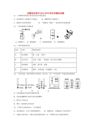安徽省如皋市中考化学模拟试卷试卷