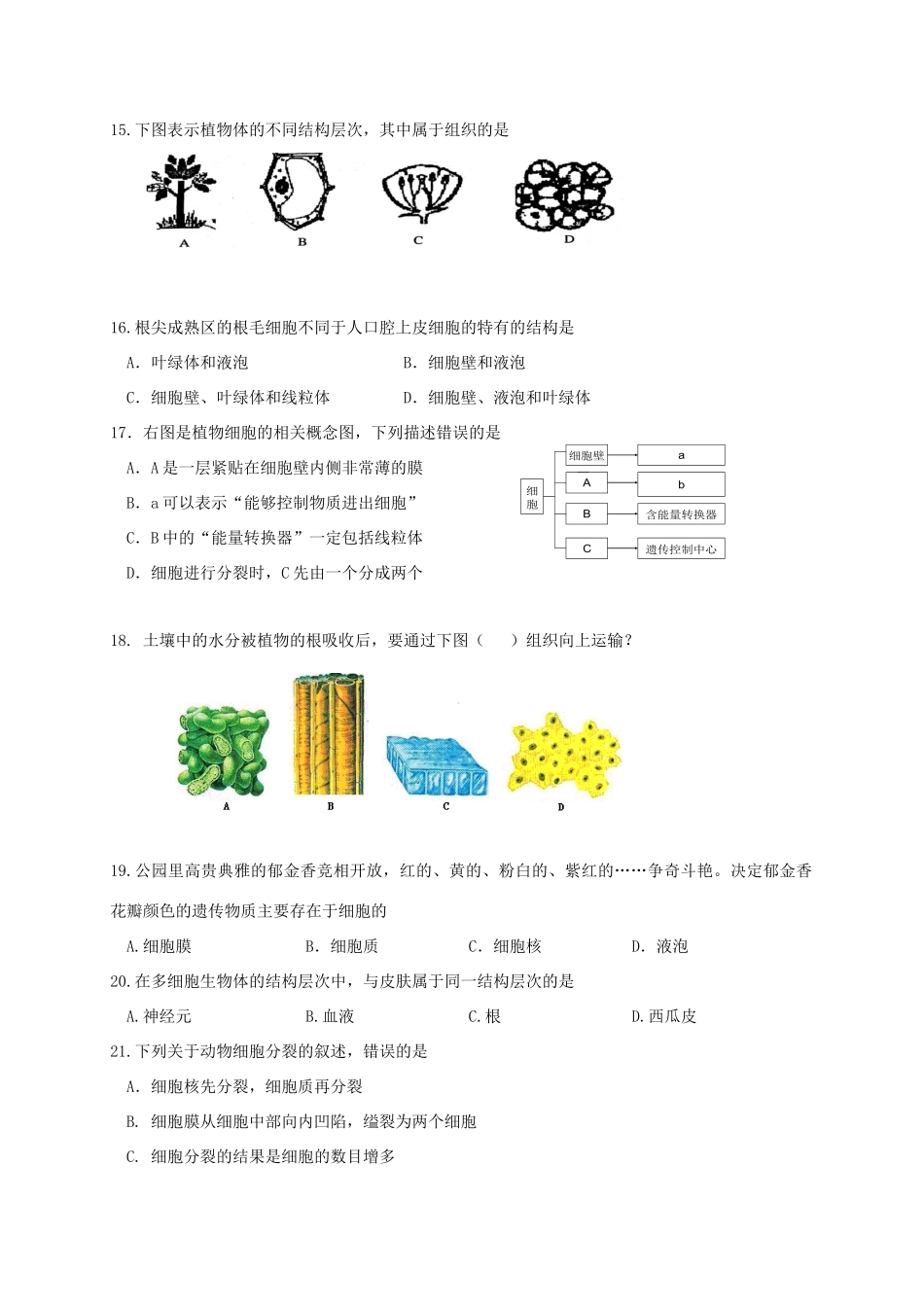 山东省临沂市临沭县七年级生物上学期期中教学质量检测试卷_第3页