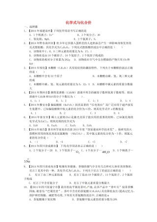 九年级化学上册 专题突破训练 化学式与化合价 新人教版试卷