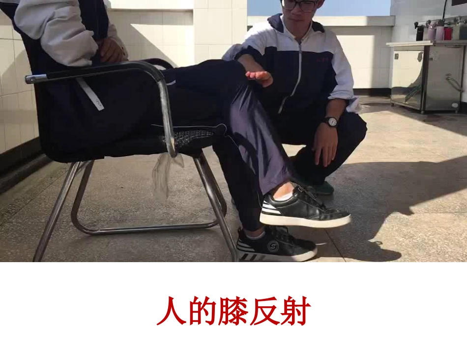 神经系统的结构和功能-(2)_第3页