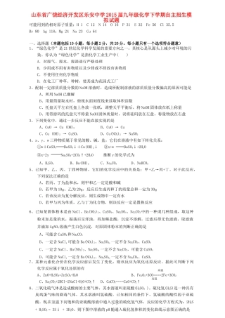 九年级化学下学期自主招生模拟试卷 人教版五四制试卷