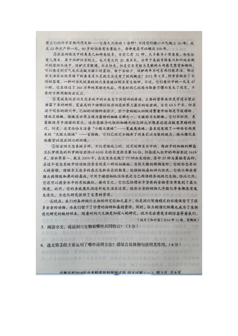 中考语文精准原创预测试卷(一)新人教版试卷_第3页