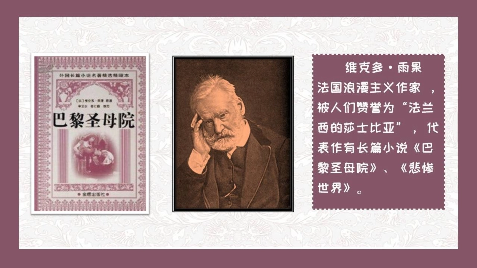 《巴黎圣母院》_第3页