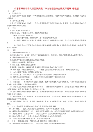 九年级政治全册复习提纲 鲁教版试卷