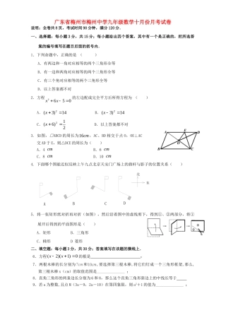 九年级数学十月份月考试卷 北师大版试卷