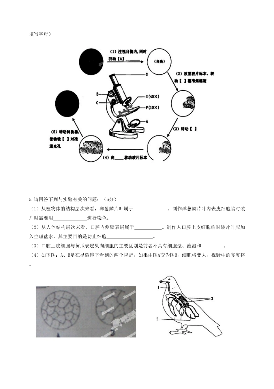 初中第三教研片区七年级生物上学期期末联考试题_第3页