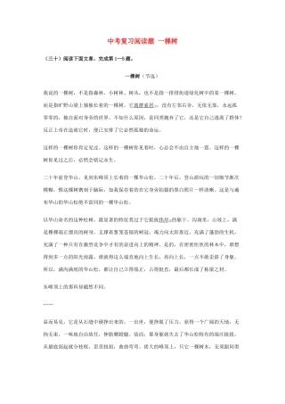 中考语文阅读题复习 一棵树试卷