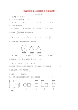 九年级数学上学期第五次月考试卷 新人教版试卷