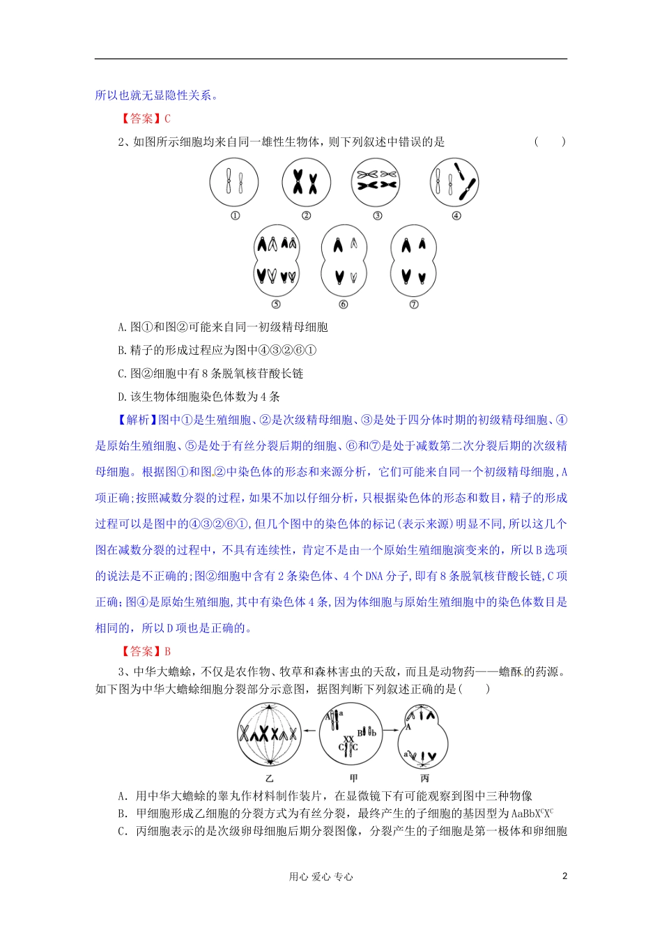 2012版高考生物一轮-第2章-基因和染色体的关系(单元复习)精品复习学案-必修2_第2页