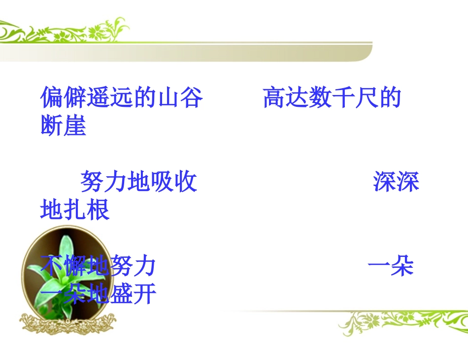 27心田上的百合花开_第2页