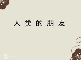 江苏省宿迁市宿豫区陆集初级中学七年级美术《人类的朋友》课件