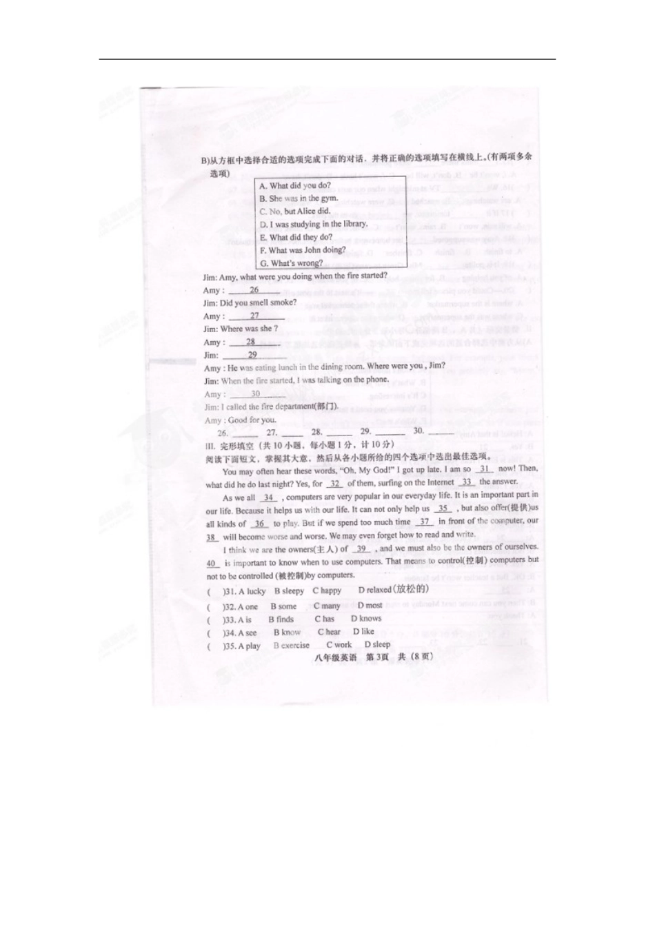 河北省承德市围场县2012-2013学年八年级英语下学期期末考试试题(扫描版)-北师大版_第3页