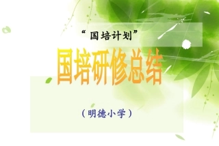 阿荣旗明德小学研修总结