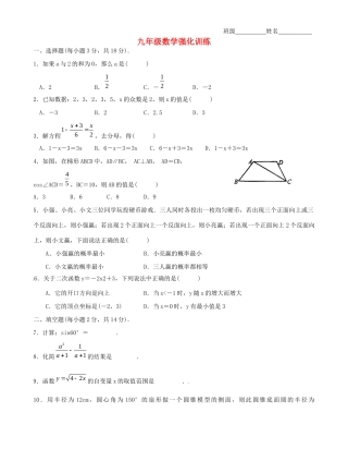 九年级数学强化训练(11) 苏科版试卷