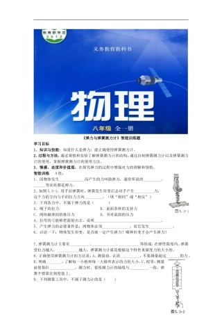 【素材】《弹力与弹簧测力计》(沪科)