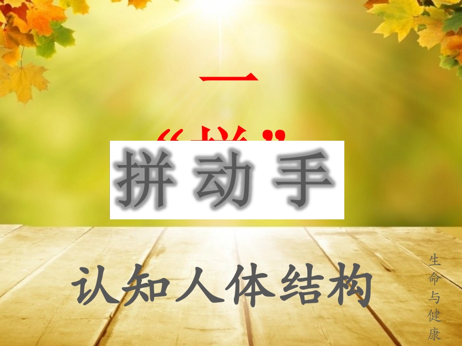 7.模型类项目的设计与制作-(2)_第3页