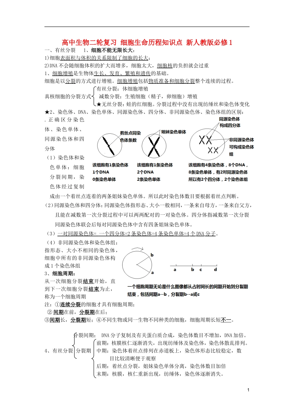 高中生物二轮复习-细胞生命历程知识点-新人教版必修1_第1页