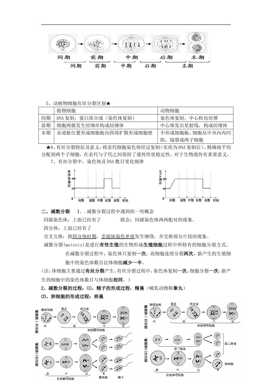 高中生物二轮复习-细胞生命历程知识点-新人教版必修1_第2页