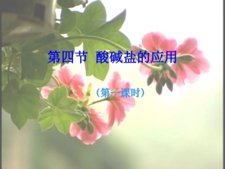 《酸、碱、盐的应用》(第一课时)课件