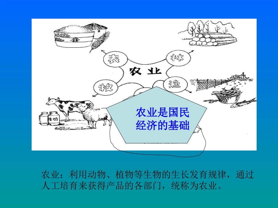 八上：第四单元经济与文化复习课件_第3页