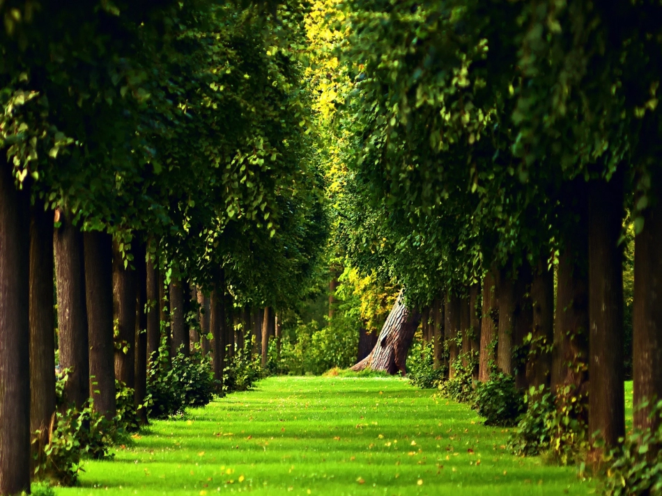 《手拉手-地球村》课件_第2页