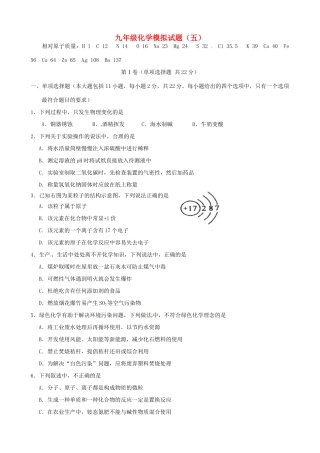 九年级化学模拟试卷(五) 鲁教版试卷