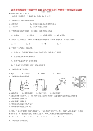 九年级化学下学期第一次阶段测试试卷 新人教版试卷