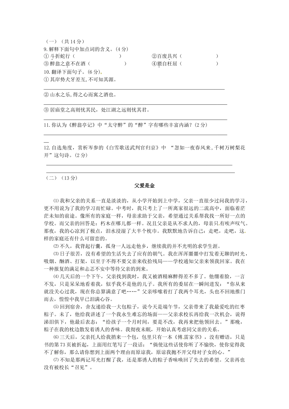 宁夏贺兰县届九年级语文第三次月考试卷 新人教版试卷_第3页