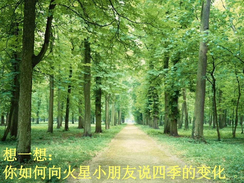 《3-四季大本营》课件_第2页