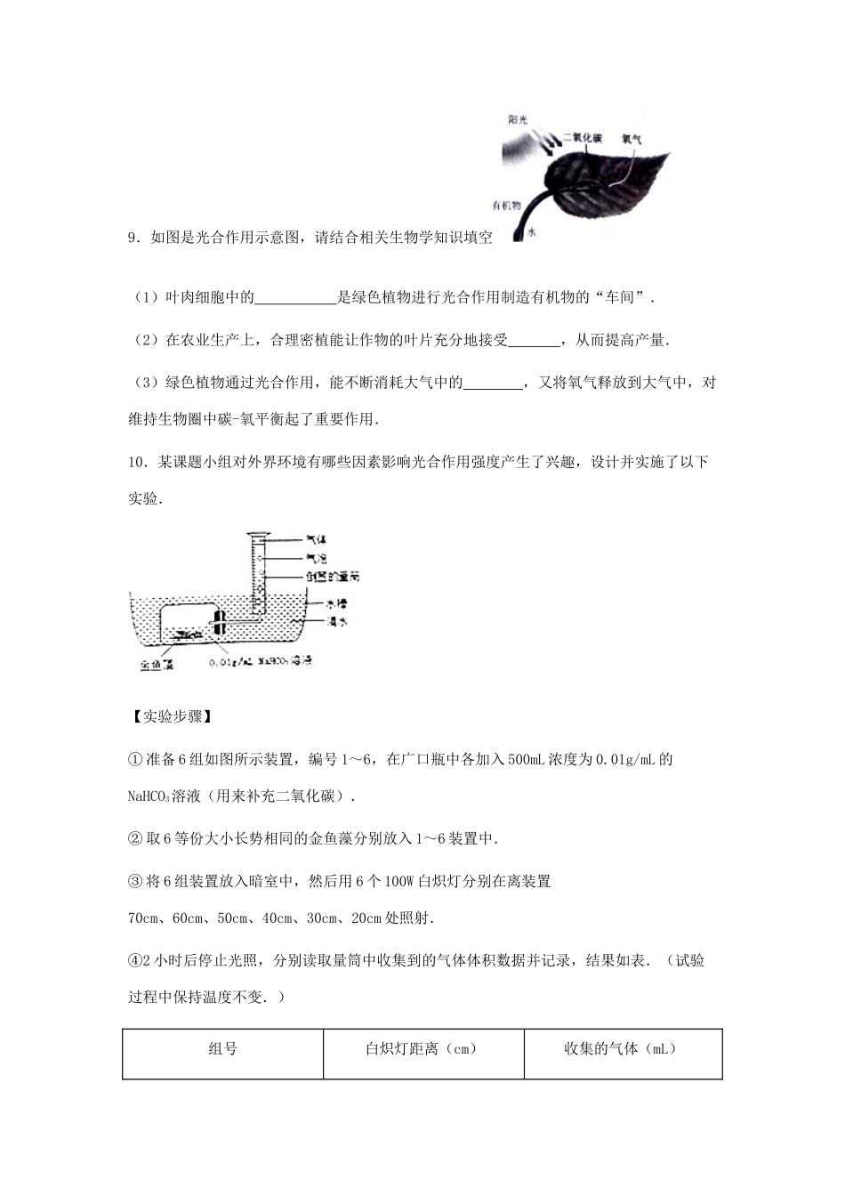 中考生物总复习 第四单元 生物圈中的绿色植物 第三节 绿色植物的光合作用和呼吸作用特色训练试卷_第3页