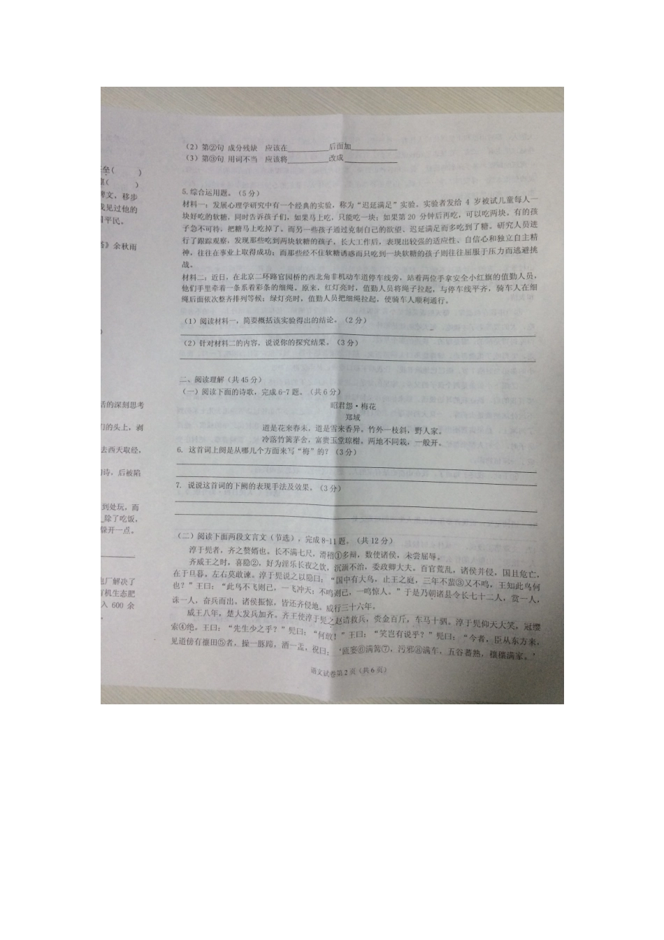 中考语文网上阅卷适应性检测试卷试卷_第2页