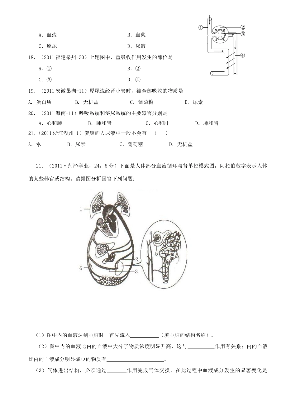 中考生物汇编试卷 尿的形成和排出试卷_第3页