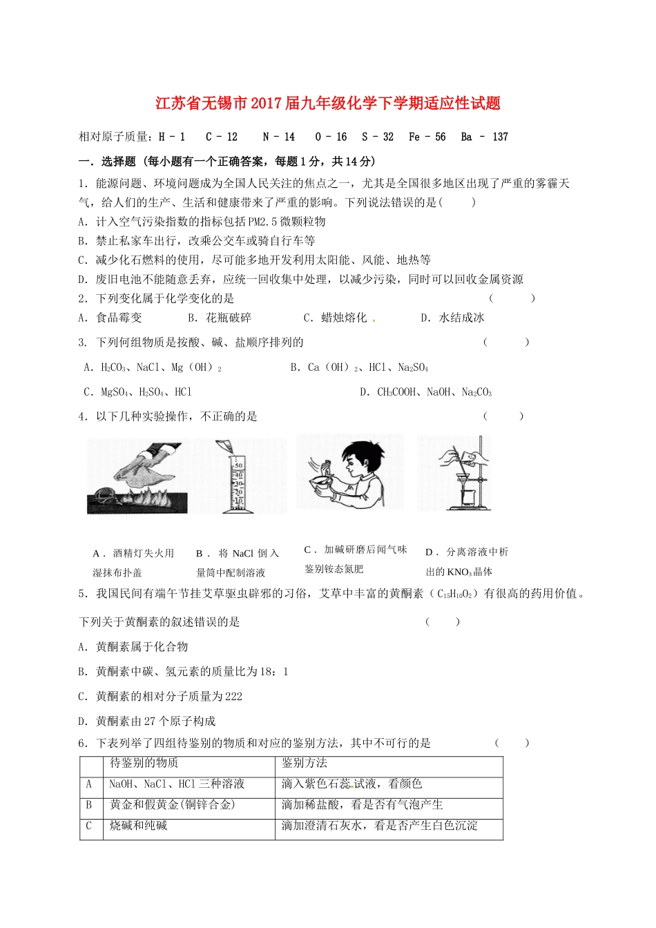 九年级化学下学期适应性试卷试卷_第1页