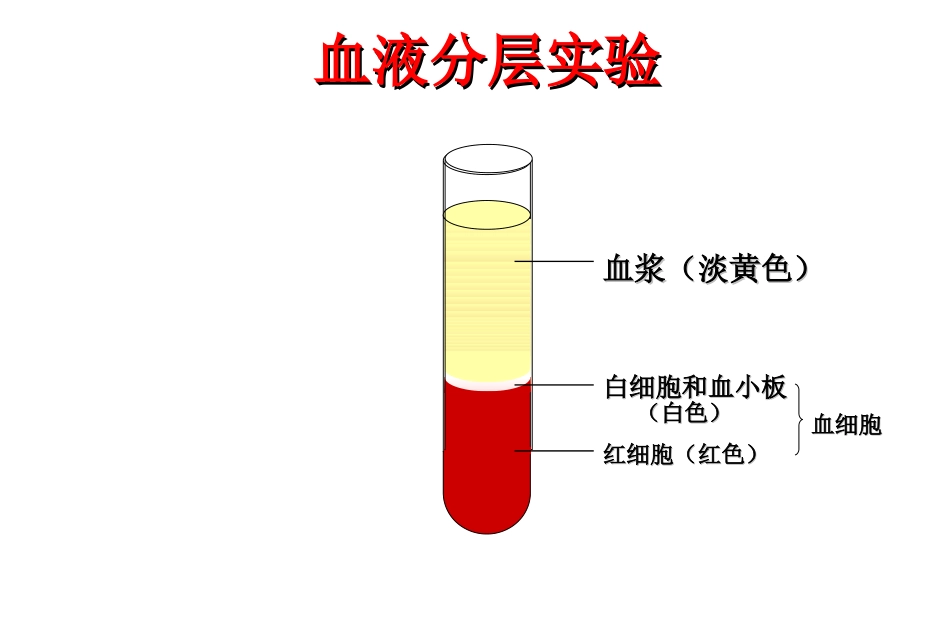 七年级生物血液_第2页