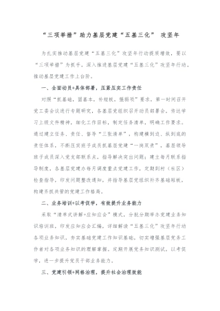“三项举措”助力基层党建“五基三化” 攻坚年