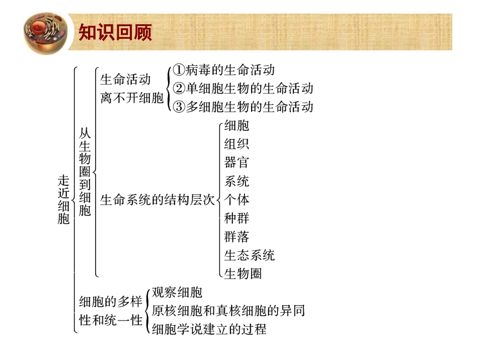 科学前沿组装细胞-(3)_第2页